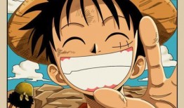 路飞悬赏爆料视频大全集,揭秘海贼王世界中的悬赏风云