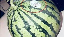 厦门网红吃瓜,揭秘美食背后的故事