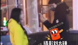 刘大锤爆料王九龙视频播放,播放量惊人揭秘幕后真相
