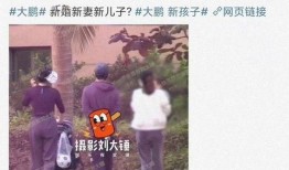 大鹏养家爆料新闻,揭秘娱乐圈最新热点事件