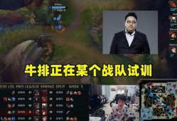 最新战队爆料视频播放,精彩瞬间与幕后故事大曝光
