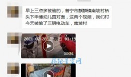 网友小宝爆料视频在线观看,揭秘网络热点背后的真相