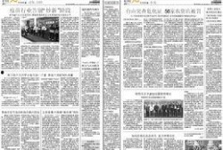 农村新闻爆料,揭秘乡村发展新动态