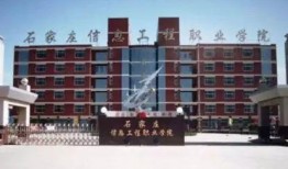 石家庄职场最新爆料