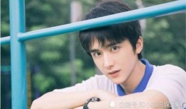 圈内八卦爆料张新成视频,圈内八卦引发热议