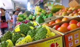 水果老板的爆料视频大全,揭秘水果市场背后的惊人真相