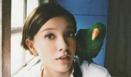 郭采洁最新爆料,娱乐圈背后的真实故事