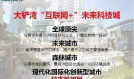 港媒爆料模板大全最新,港媒最新爆料，娱乐圈惊天大事件即将揭晓！