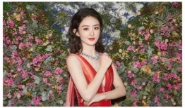 狗仔爆料赵丽颖视频,狗仔爆料背后真相揭秘