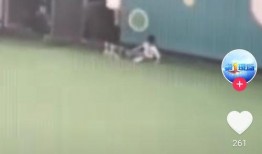 爆料老师打孩子视频大全,老师打孩子视频合集引发社会关注