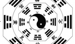 社会八卦最新爆料视频大全,揭秘明星私生活幕后真相