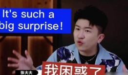 天禄小胖爆料视频大全,揭秘幕后真相与趣味瞬间