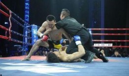 爆料击倒日本拳王视频,揭秘幕后真相