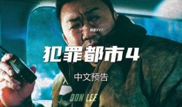 犯罪都市电影高清在线观看,高清在线观影，揭秘黑暗都市的罪恶深渊