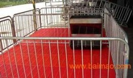 成都养猪场爆料视频曝光,揭开养殖黑幕