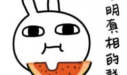 娱乐吃瓜君睡眠,揭秘明星睡眠秘籍，一觉到天亮！