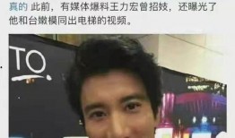 好友爆料王力宏视频,好友爆料背后的惊人真相