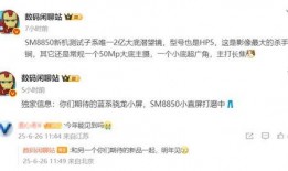 真我gt8最新爆料,揭秘旗舰新机核心亮点与性能突破