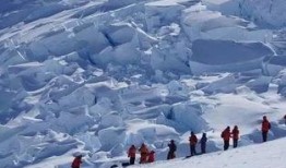 南极最新爆料新闻事件,冰原深处的未知生命之谜