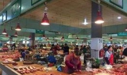 长春菜市场爆料视频,新鲜食材与人间烟火气交织