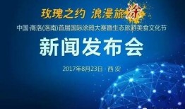 洛南爆料最新新闻,最新新闻事件深度解析