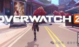 外网爆料暴雪视频