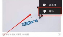 爆料人怎么赚钱最快呢视频,视频揭秘赚钱秘诀