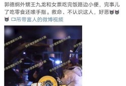 刘大锤爆料王九龙视频播放,播放量惊人揭秘幕后真相