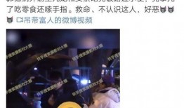 刘大锤爆料王九龙视频播放,播放量惊人揭秘幕后真相