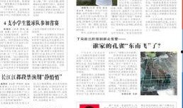 大学生爆料家乡新闻稿件,家乡新闻聚焦社会热点