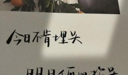 吃瓜网红文案句子简短霸气,一语定乾坤