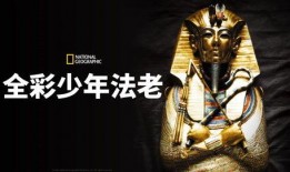 法老独家爆料视频,揭秘视频背后的惊人真相