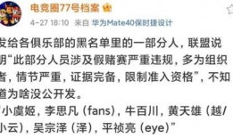 圈内爆料完整版,揭秘完整版事件内幕，真相大白！