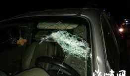 车窗抛物爆料视频下载网站,一键捕捉不文明行为