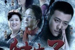 独生子电视剧在线观看,揭秘现代家庭情感纠葛