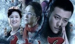 独生子电视剧在线观看,揭秘现代家庭情感纠葛