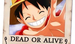 路飞悬赏爆料视频大全集,揭秘海贼王世界中的悬赏风云