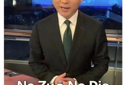 国泰航空网友爆料视频,揭秘航班服务幕后真相