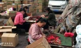 西安胡家庙爆料事件最新,最新进展与公众关注焦点