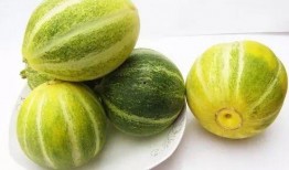 甜瓜美食爆料视频下载大全,解锁夏日美味新境界