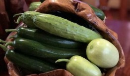 西双版纳网红吃瓜,揭秘热带风情下的美食诱惑