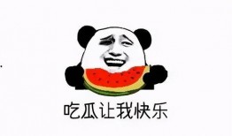 吃瓜群众免费吃瓜全部,全民共享的娱乐狂欢