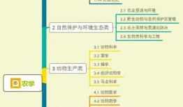 热心网游爆料视频大全集,视频大全集深度解析