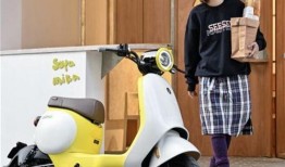 九号电动车事件最新爆料,揭秘事故真相与责任归属