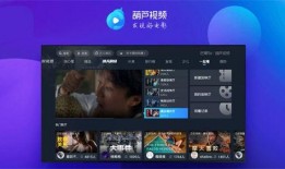 新闻爆料缅甸视频下载安装,揭秘新闻爆料背后的操作手法