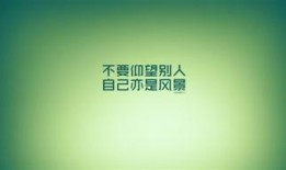 娱乐爆料文案励志小短文,小短文背后的故事力量