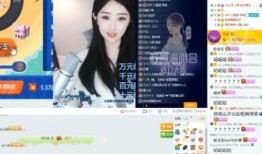 解说娃娃被爆料视频大全,揭秘网络红人的真实生活