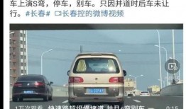 西安面包车爆料视频播放,一幕幕惊心动魄瞬间回顾