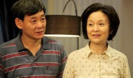 独生子电视剧在线观看,揭秘现代家庭情感纠葛