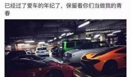 卓伟爆料豪车风云视频,豪车风云背后的惊人真相